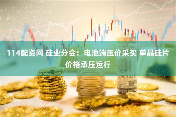 114配资网 硅业分会：电池端压价采买 单晶硅片价格承压运行