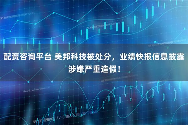 配资咨询平台 美邦科技被处分，业绩快报信息披露涉嫌严重造假！